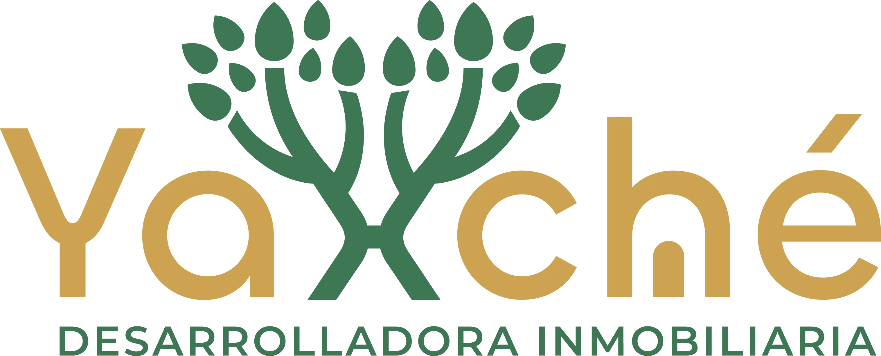 Logo de Yaxché Inmobiliaria